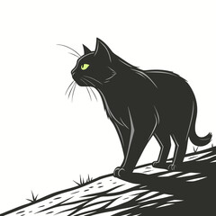 Black cat with green eyes on white background feline