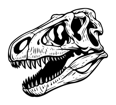 t rex skull profile monochrome vector illustration