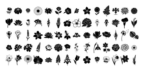 flower icon set big collection of floral silhouettes vector