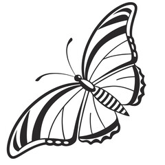 Black and white striped butterfly graphic insect wings