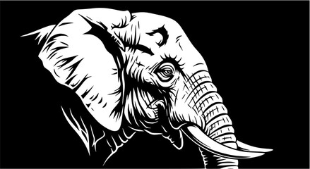 Close-up black and white illustration of an elephant's head and trunk, profile view.