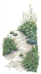 Explore the Beauty of Native Flora Along a Serene Pathway: A Vibrant Illustration Celebrating Nature's Splendor and the Tranquility of Outdoor Spaces