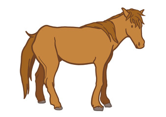 野間馬　馬　栗毛　日本の馬