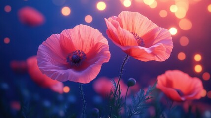 Pink poppies illuminated by glowing lights