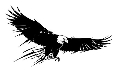 swooping bald eagle attack vector illustration