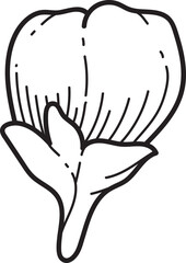 Apple blossom Line Art Floral Illustration: Delicate Five-Petal Blossom