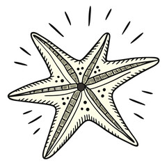 Stylized Starfish Illustration sea creature marine life