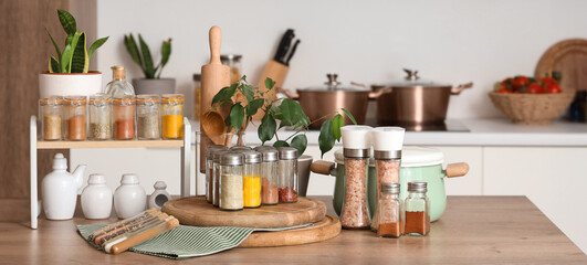 Jars with different spices, utensils and plant on table in kitchen