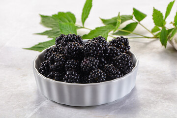 Raw sweet juicy blackberry in the bowl