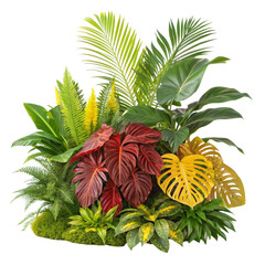 Lush tropical plant arrangement with vibrant red and yellow foliage isolated on transparent background