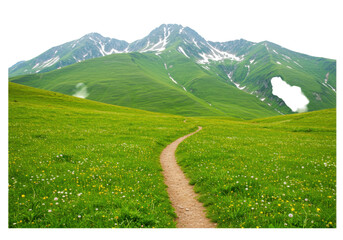 Scenic hiking path winding through a vibrant green meadow with snow capped mountains in the background isolated on transparent background