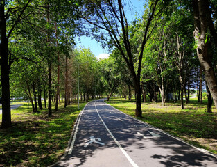 Pedestrian and bicycle lanes in the park in Dubna, Russia