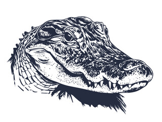 A powerful hand-drawn vector illustration of a wild animal head, blending the fierce face of a crocodile with the artistic sketch of a tiger, ideal for a tattoo design or zoo symbol