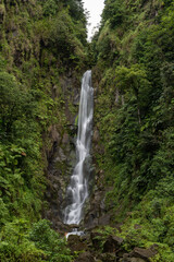Wasserfall auf Dominica - Trafalgarfall