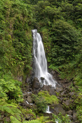 Wasserfall auf Dominica - Trafalgarfall