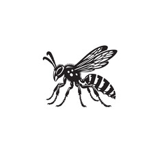 Wasp black and white silhouette icon