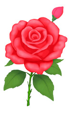 Bright colorful composition of flowers with buds and leaves. Digital drawing