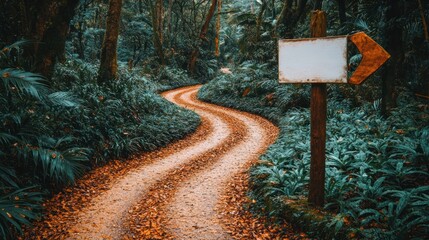 Winding path through lush jungle, blank signpost