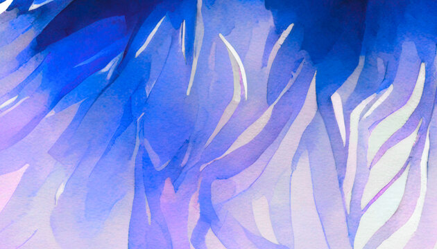 abstract blue background with feathers.