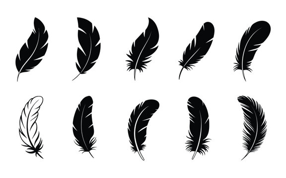 Fototapeta A set of eight black feather silhouettes