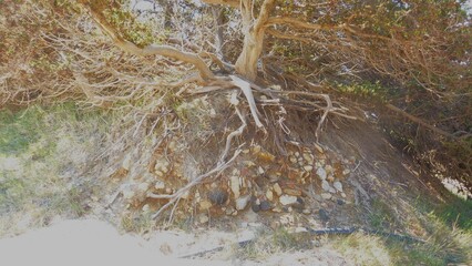 Mastrichari_2023_218
