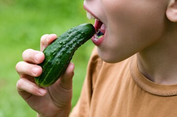 Child eating a fresh cucumber outdoors.
