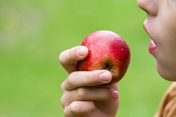 Child about to eat a red apple outdoors