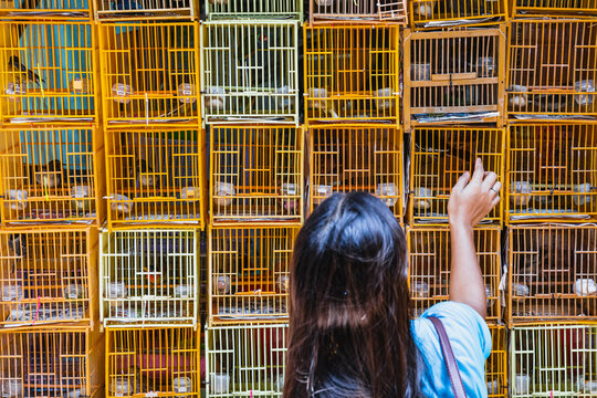 Woman in front of bird cages at the market, Hong Kong, China