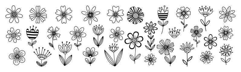hand drawn flower icons collection outline vector