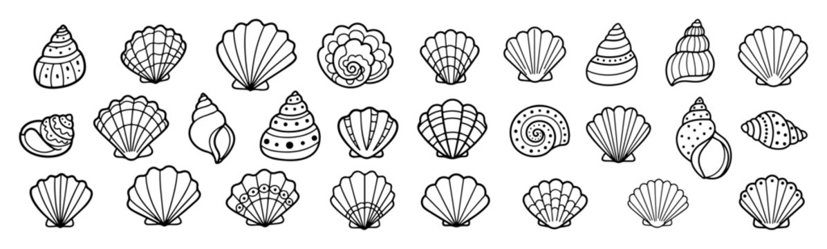 hand drawn seashells collection