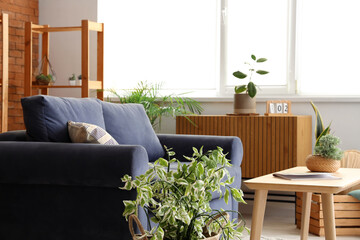 Interior of loft style living room with shelving units, sofa and houseplants