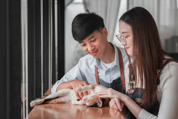 Couple enjoying cuddly moments with cat, indoor cozy living room, lifestyle photography, warm atmosphere