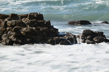 Nature photography, landscape, street photography, animal photography, birds, buildings, ocean waves, beaches, sunsets