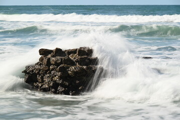Nature photography, landscape, street photography, animal photography, birds, buildings, ocean...