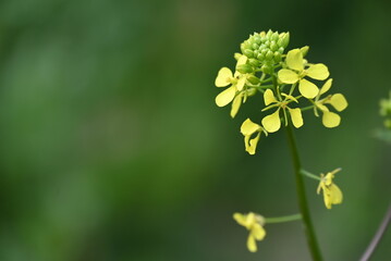 Nature photography, landscape, street photography, animal photography, birds, buildings, ocean waves, beaches, sunsets