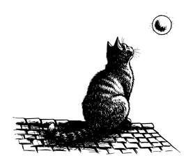 cat sitting on roof looking at moon sketch