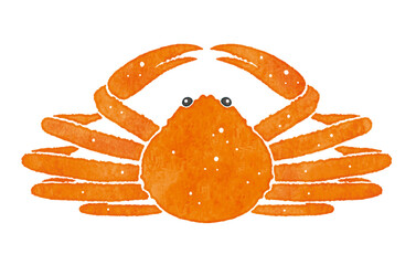 美味しそうな蟹　カニ　ズワイガニ © hoim