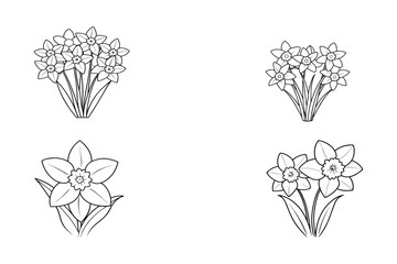 Delicate floral illustrations featuring daffodils with trumpet centers petals