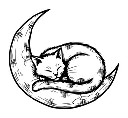 cute cat sleeping on the crescent moon sketch vector illustration