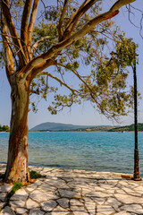 Tree and Lantern Frame a Peaceful Bay View