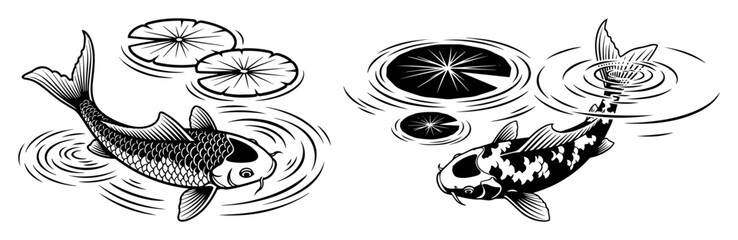 japanese koi carp fish in pond with water lily vector