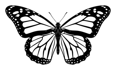 monarch butterfly top view black and white vector