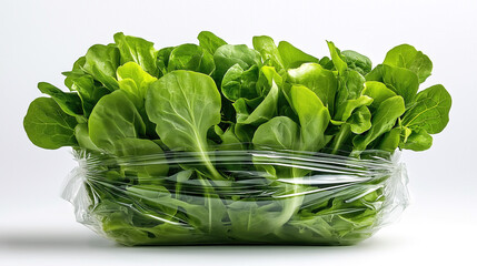 A transparent plastic bag, tightly packed with vibrant green salad leaves