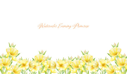 水彩画の月見草の花畑フレーム