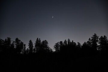 Whispers of the Crescent