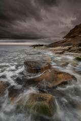 The coastline of Crail, Fife, Scotland with petrified tree trunks in the water.