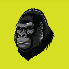 Gorilla Head Vector portrait
