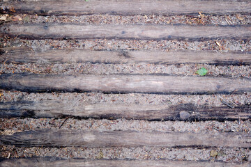Shield with a large number of parallel wooden logs texture