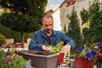 Man cultivates colorful flowers in a sunny garden