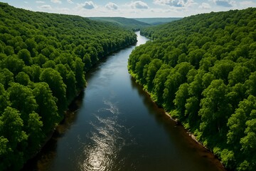 緑の森に囲まれた大きな川の風景｜Scenic River Surrounded by Green Forest